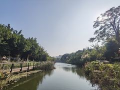 -映月湖公园