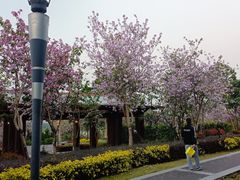 -立新湖公园
