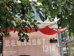 -杨梅坑