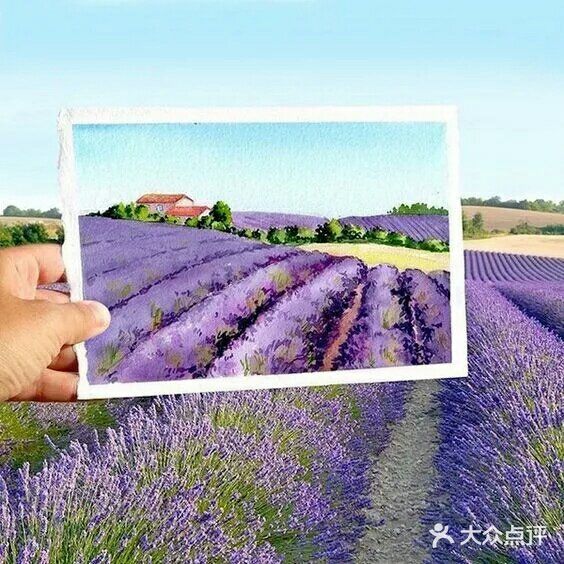 旅行画画的人生闪闪发光✨✨