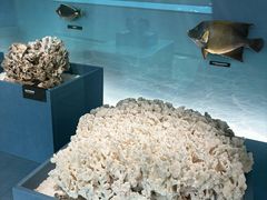 -中国湿地博物馆