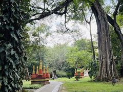 -瑞丽独树成林风景区