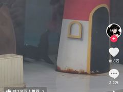 -锦艺城海洋馆
