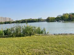 -昆山城市生态森林公园