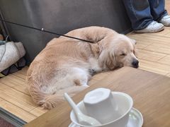 -黔哆哆地摊酸汤火锅(清湖店)