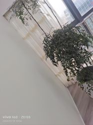 -HEYAN荷妍专业脱毛连锁机构