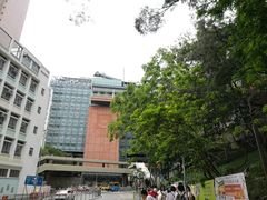 -香港大学