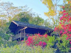 -深圳国际园林花卉博览园