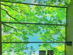 -水云空涧·沐足·采耳·按摩·SPA影院(琶洲店)