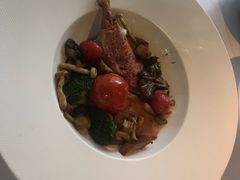 -蝶舍·MAISON PAPILLON