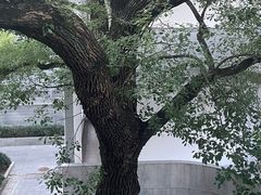 -湖北美术学院(昙华林校区)