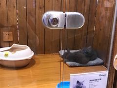 -龟与熊猫宠物公园(南坪店)