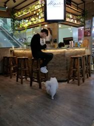 -HIPSTER形象设计