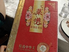 -丁老爷子苏香圆