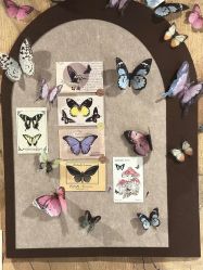 -Zoolung Zoolung动物主题公园(海信广场店)