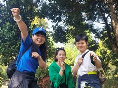 -铁山坪森林公园