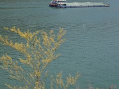 -羚羊峡古栈道森林公园