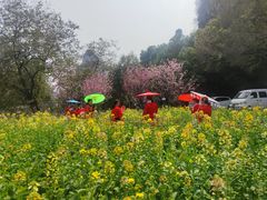 -南溪山景区