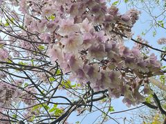 -同里国家湿地公园