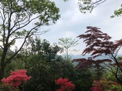 -莫干山风景区