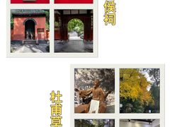 -成都大熊猫繁育研究基地