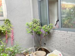 -郭师傅冰稀饭(人民路店)