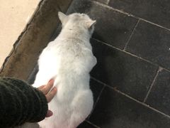 -甜甜屋(解放中路店)