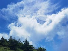 -白草畔自然风景区