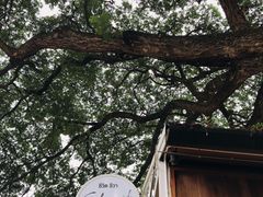 -Cheevit Cheeva(Sirimangkalajarn)