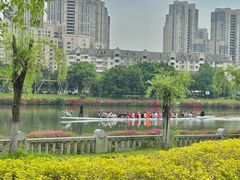 -光明港公园
