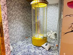 -不可思议减压馆·解压博物馆·摔碗发泄·团建定制