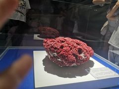 -贝壳王国博物馆