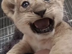 -鄂尔多斯野生动物园