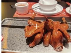 -羽鸽集·乳鸽专门店·地道顺德菜(岭南站店)