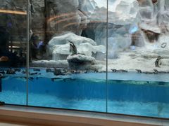 -广东省拱北口岸中国旅行社(华宾营业部)