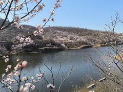 -香山公园