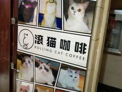 -滚猫咖啡·猫咖·猫友好撸猫(未来城店)