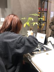 -香遇沙龙香水·调香·团建