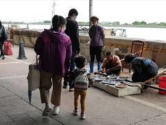 -大湾区中央湿地公园-十九涌