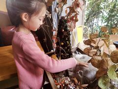 -咖法森林·咖啡  酒吧(天河店)