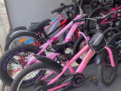 -道路口单车爱瓦士dahon大行