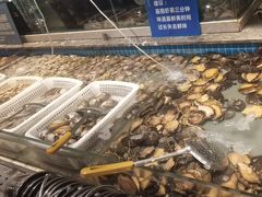 -一方渔歌蒸汽海鲜自助(文化路万达广场店)