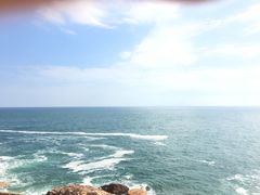 -广东惠东海龟国家级自然保护区