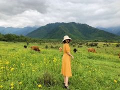 -石棉县孟获城
