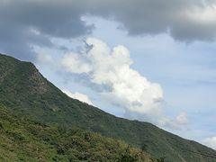-深圳仙湖植物园