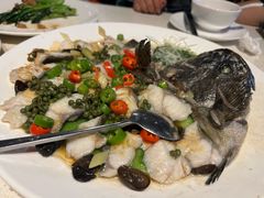 鲜花椒蒸龙趸鱼-任兴记(定西路店)