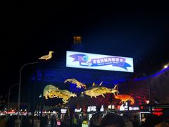 -大连海昌发现王国主题公园