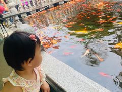 -汴河街