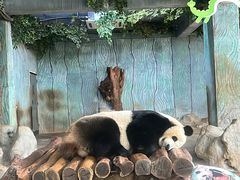 -海南热带野生动植物园