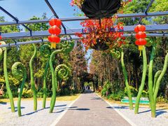 -东平国家森林公园